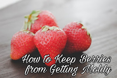 How to Keep Berries from Getting Moldy