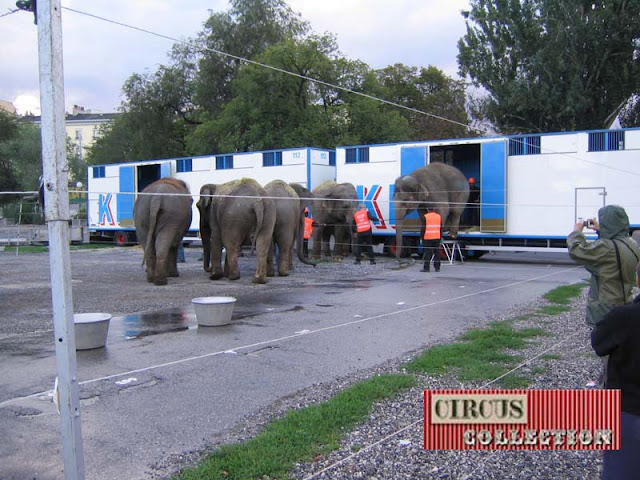 les 6 pachydermes di Montage du Cirque Knie sortent des camions bétaillères 