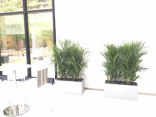 Danvers MA office planter box installation pricing design;