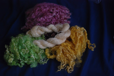 Dyed Wensleydale longwool locks and spindle-spun handspun yarn