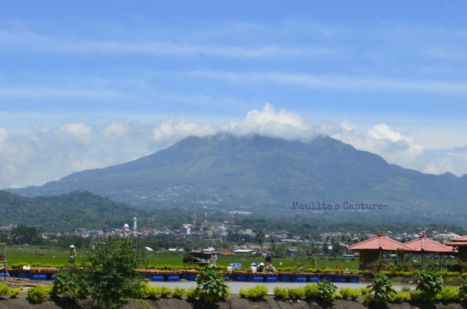 Info dan Tips Lengkap Mendaki Gunung Ungaran | Travelling Indonesia