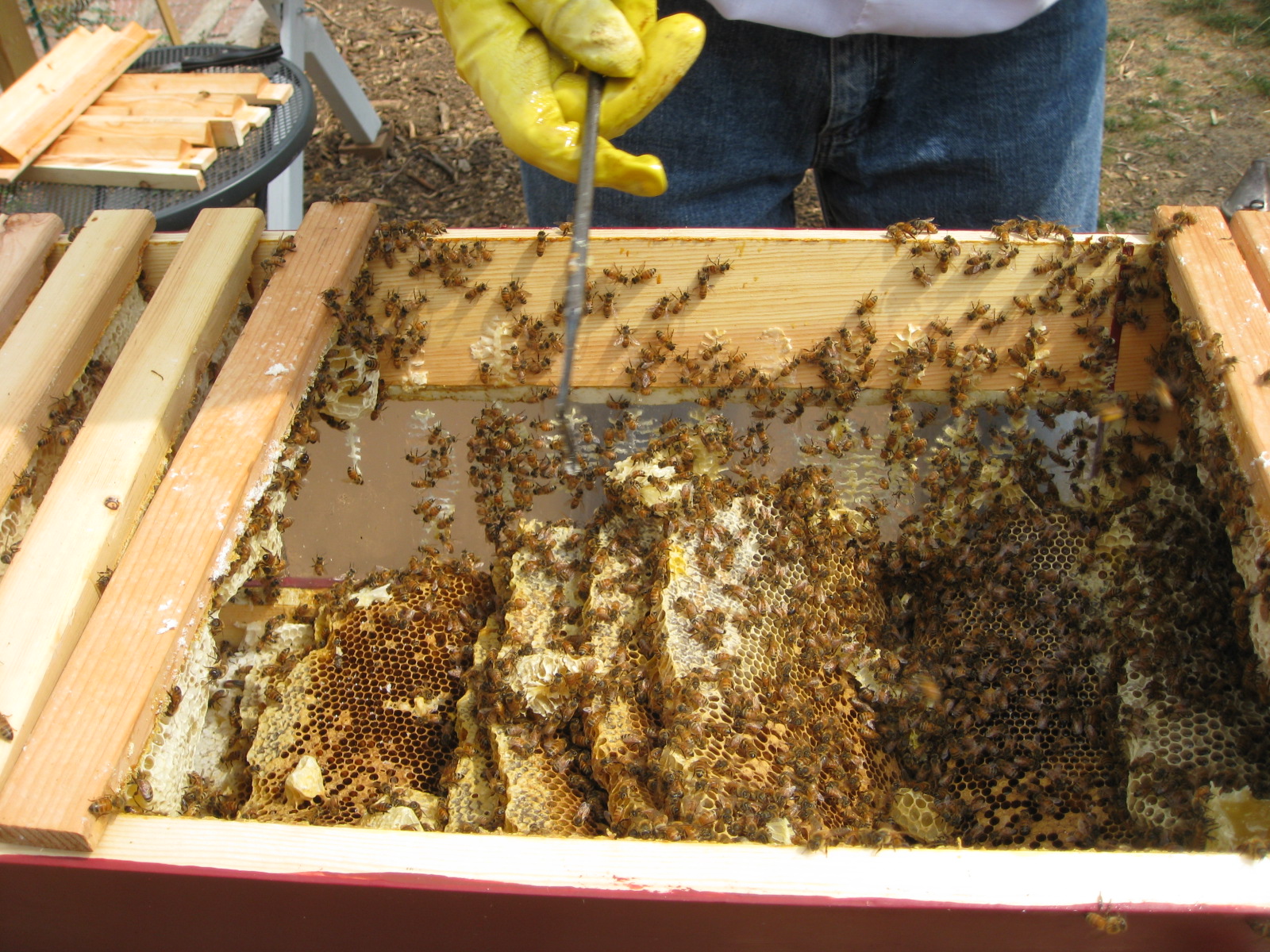 Red Bucket Farm Apiary Meltdown