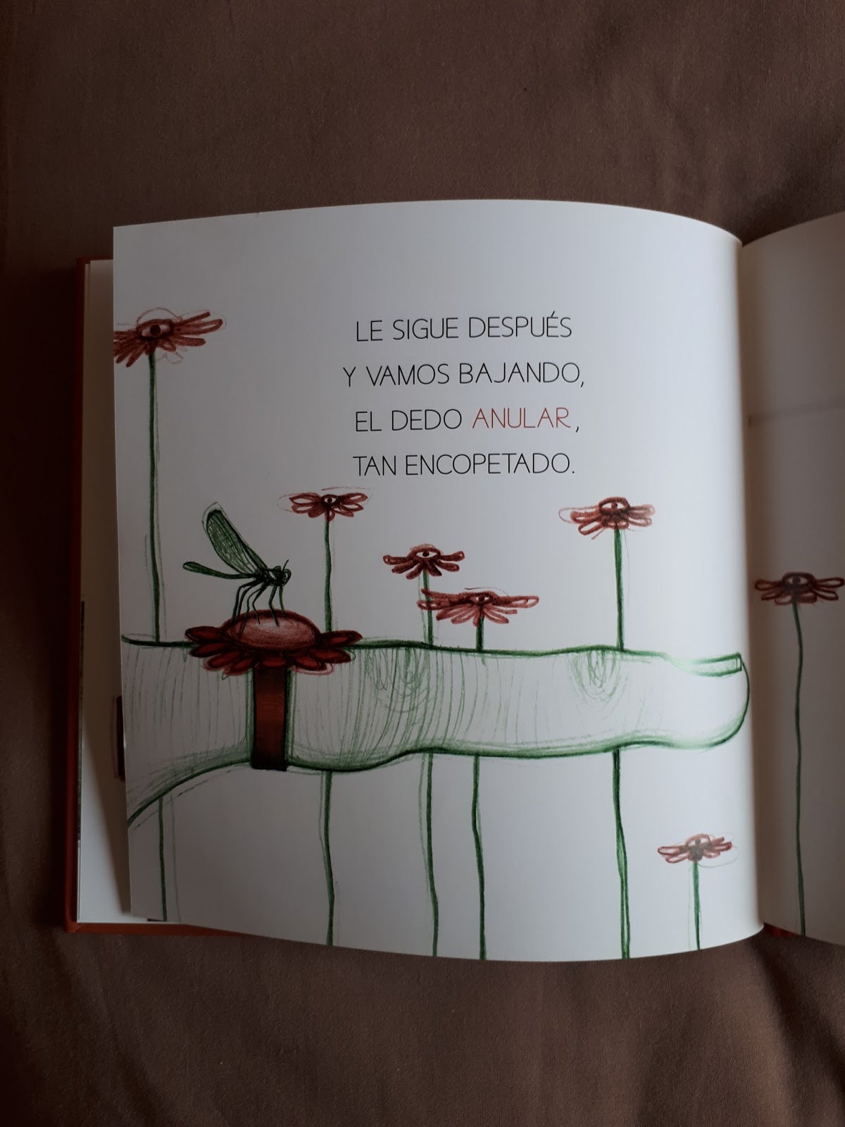 Coleccionando cuentos El bosque encantado