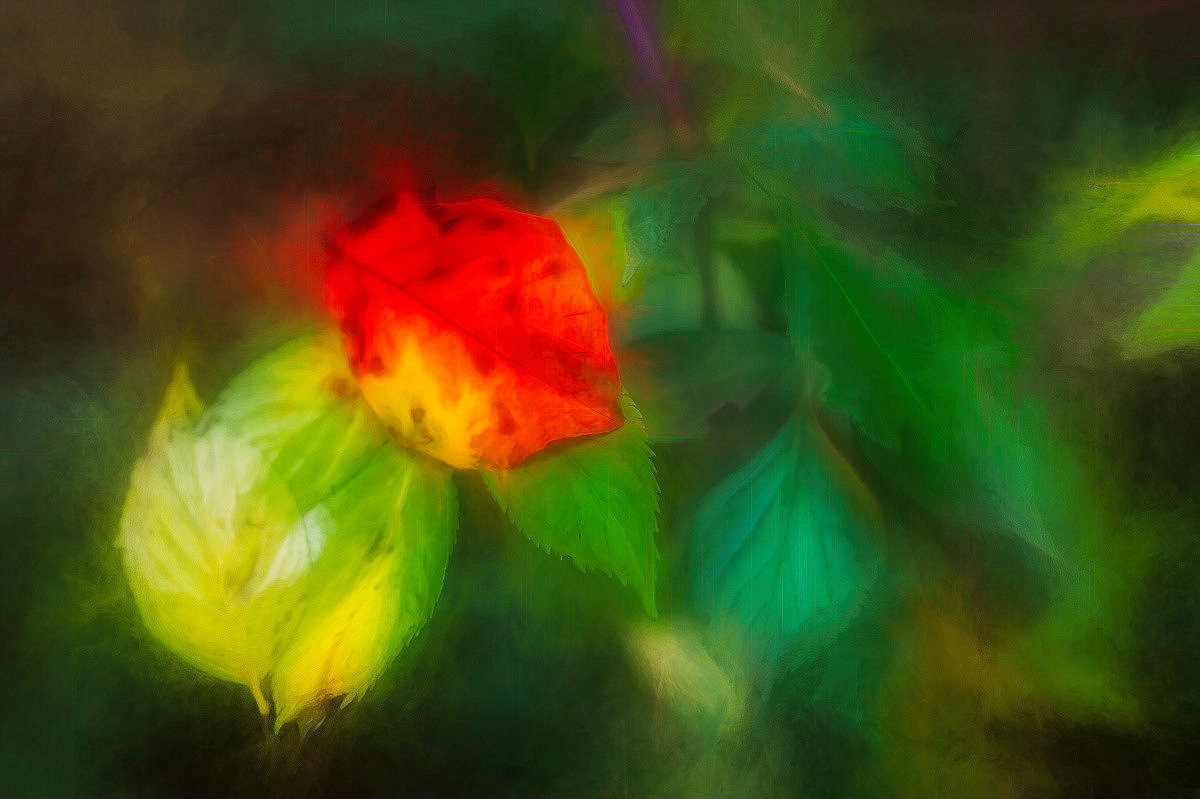 Wo Stille Wohnt Und Glanz September 2018