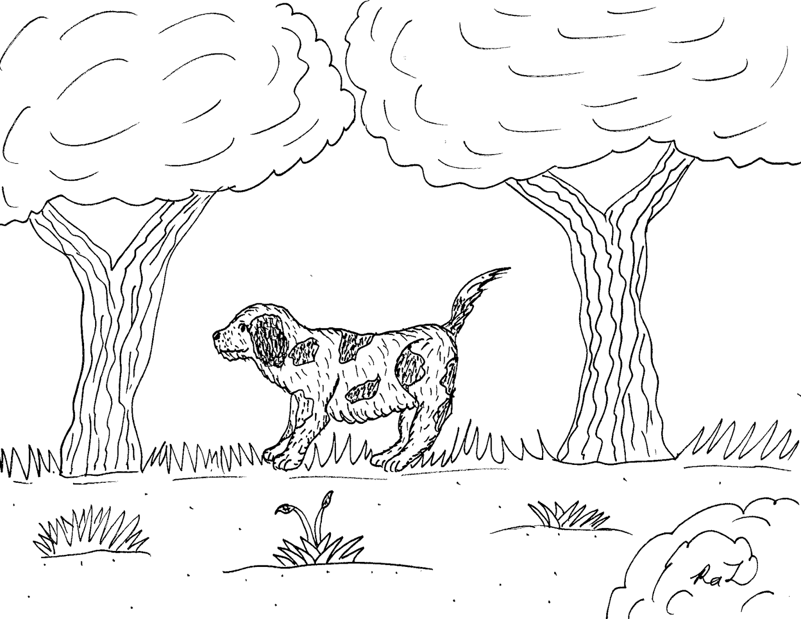 Robin S Great Coloring Pages Cavalier King Charles Spaniel