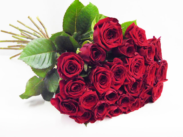 Доставка цветов спб » 24Warez.ru - Эксклюзивные НОВИНКИ и РЕЛИЗЫ