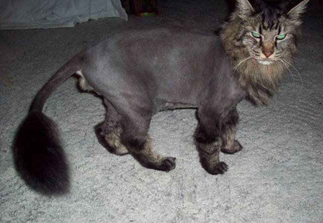 Picdump-039.jpg