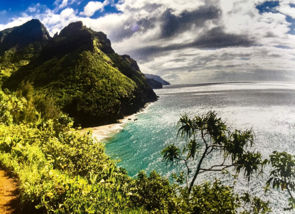 Vieregg Text Redaktion Lektorat Sv Verlag Heute 14 Uhr