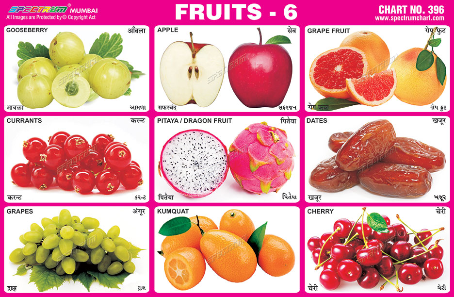 Фруктовый 6 букв. Fruit Chart. Любимые фрукты диаграмма. Fruit Fruits разница. Драконий фрукт Блокс фрукт.