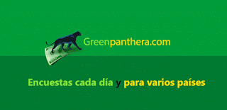 dinero con encuestas con Green Panthera