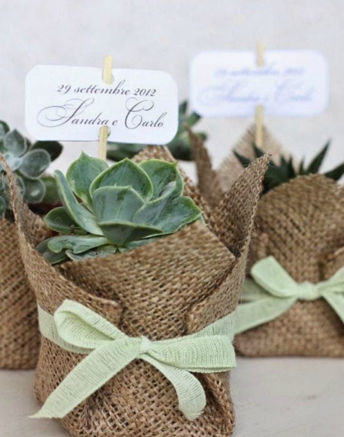 7 Detalles handmade con suculentas para invitados de boda