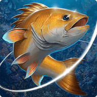 Fishing Hook Unlimited Money MOD APK