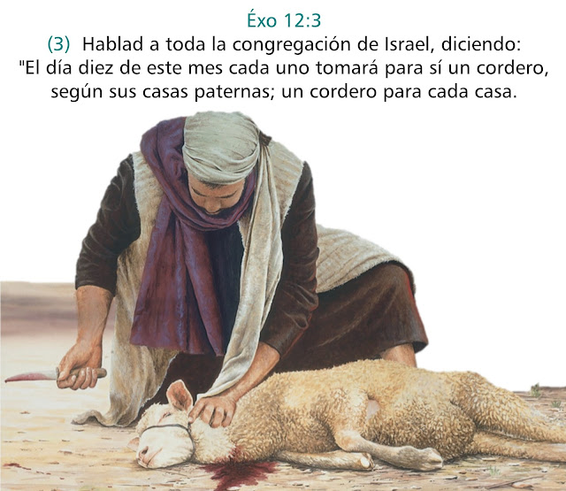 Resultado de imagen para dios salva a los israelitas ex 12, 37