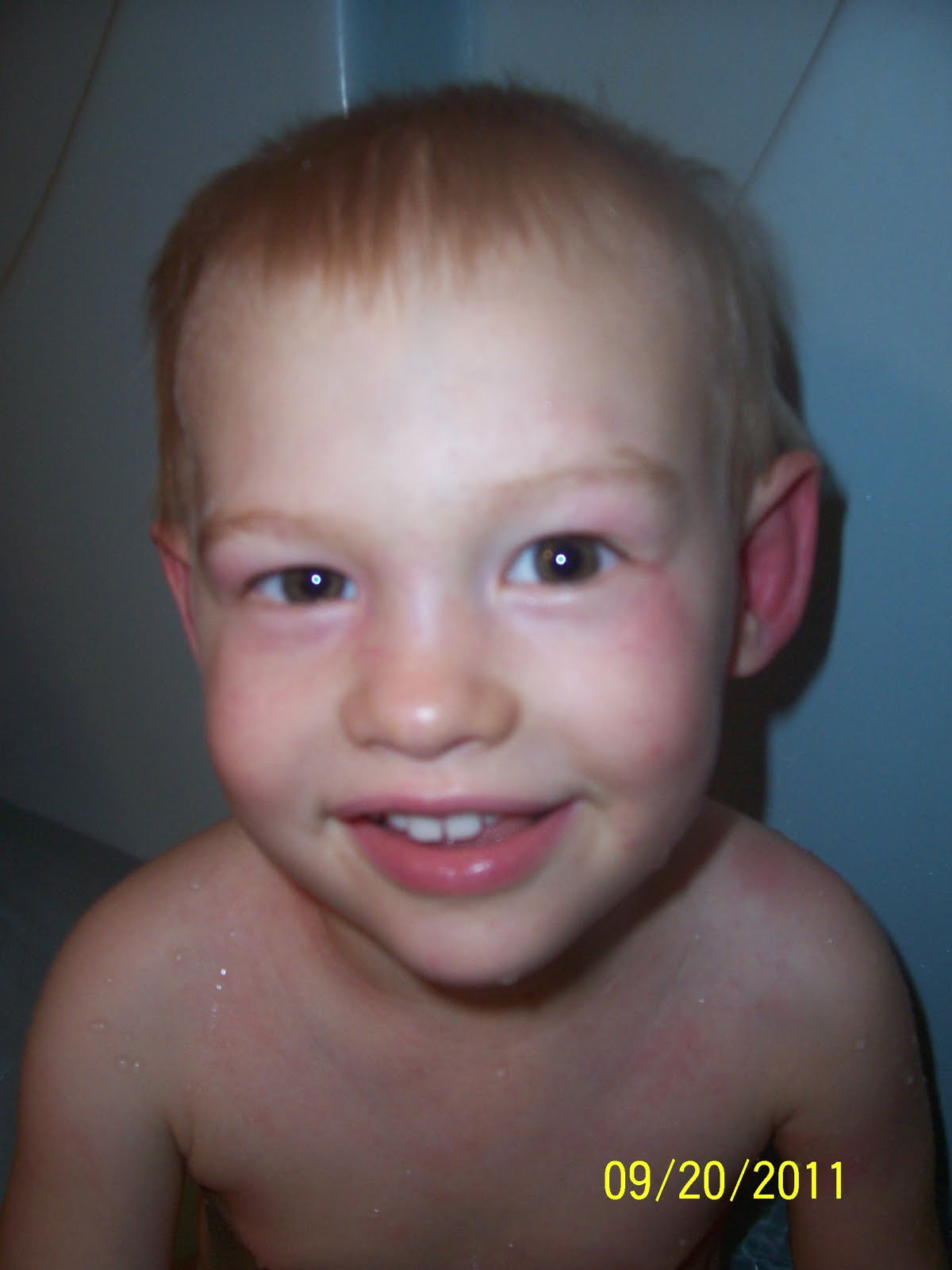 SAHMville The Great Sunflower Seed Incident