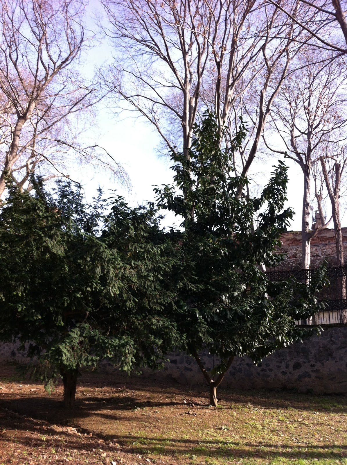 Çilek Seven Papağan Bugün Ne Yaptım 3 (Gülhane Gezisi)