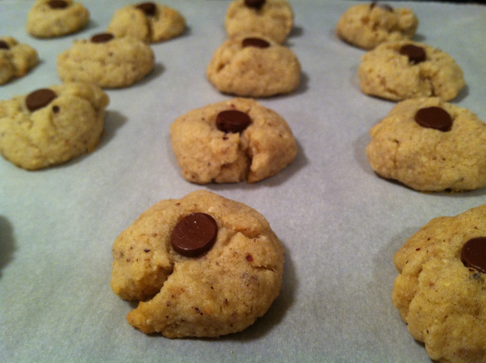 Julie Bakes Hazelnut thumbprint cookies (kosher for Passover!)