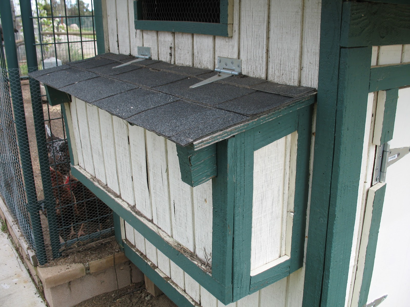 News from Oak Creek Ranch Spring Cleaning Chicken Pen
