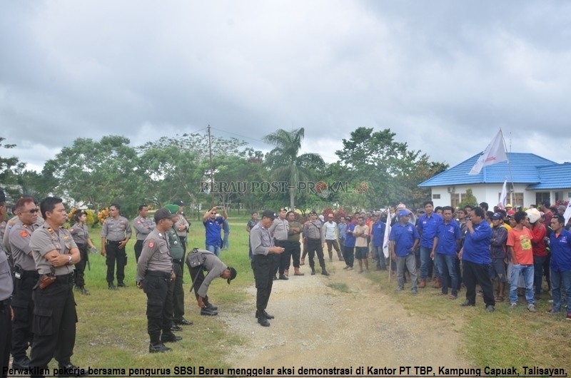 Ratusan Massa Demo Pt Tanjung Bayu Perkasa Plantation Buruh Today