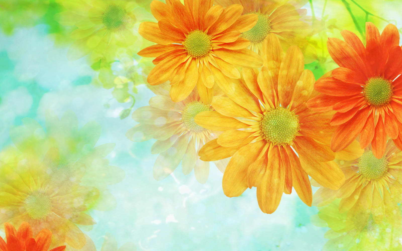 wallpaper: Flower Art Wallpapers