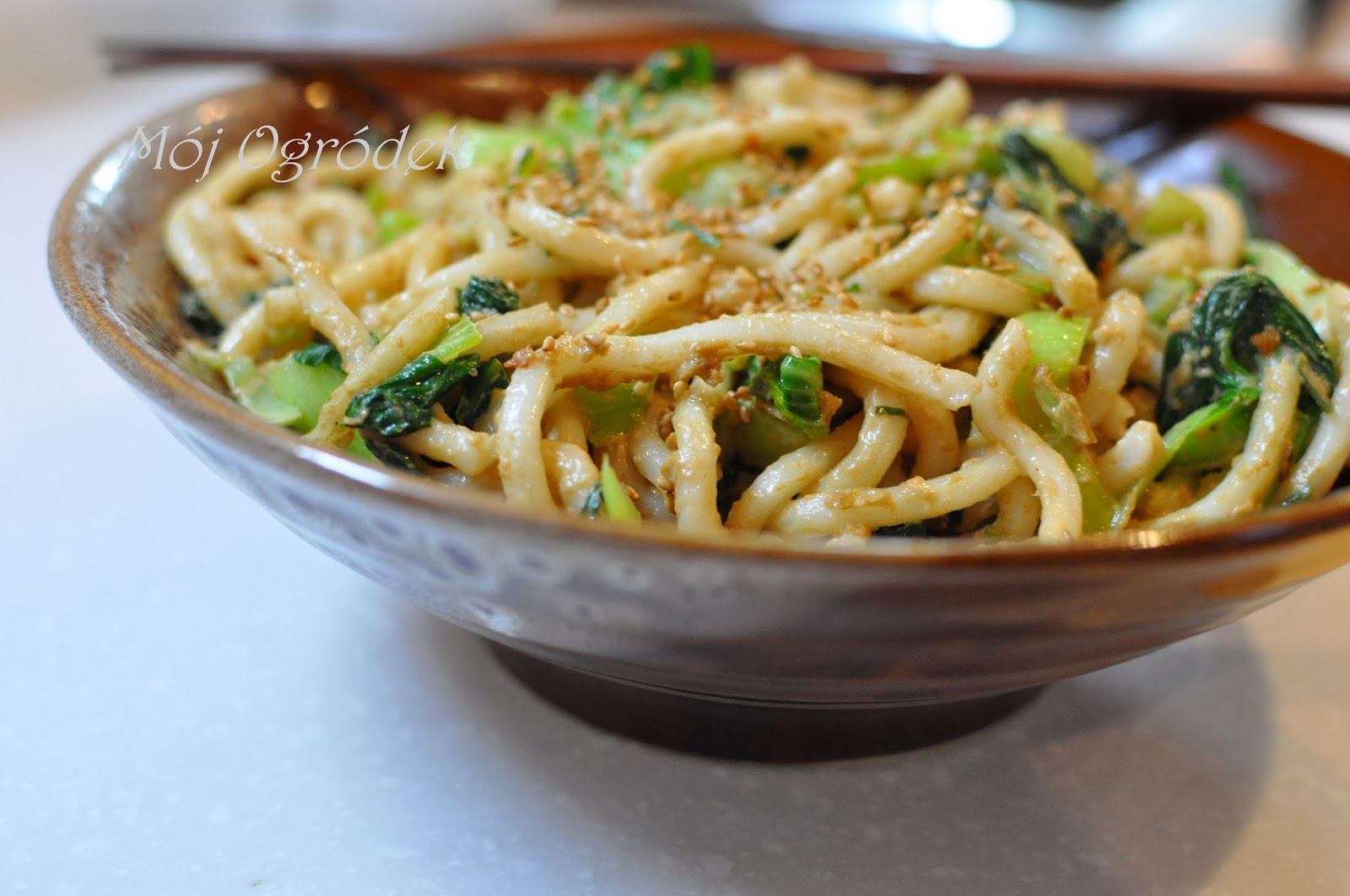 Mój Ogródek: Makaron udon.