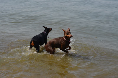 My Jenny Wins! Photo by Trisha Field