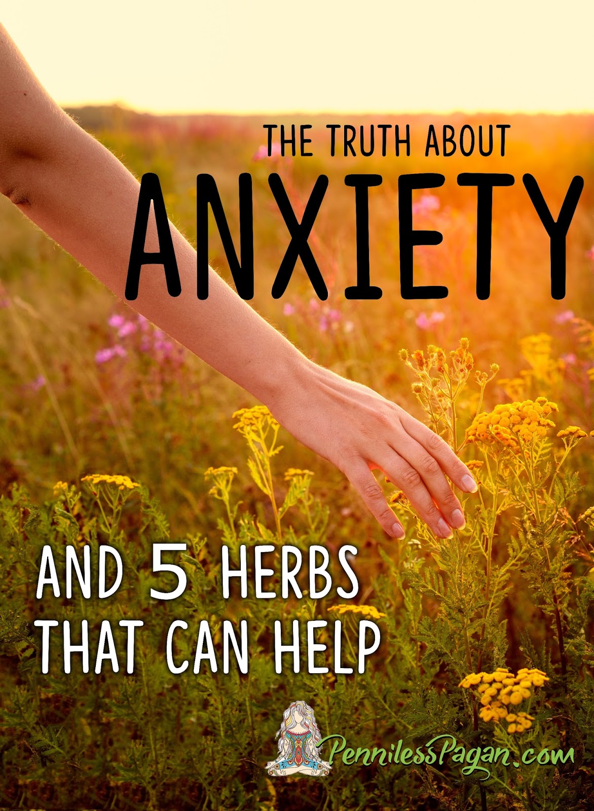 Dar essay contest 2012 winners