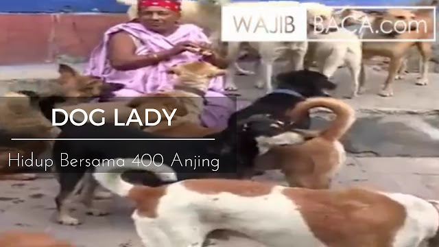 Hidup Bersama 400 Anjing, Wanita Ini Di Juluki Dog Lady