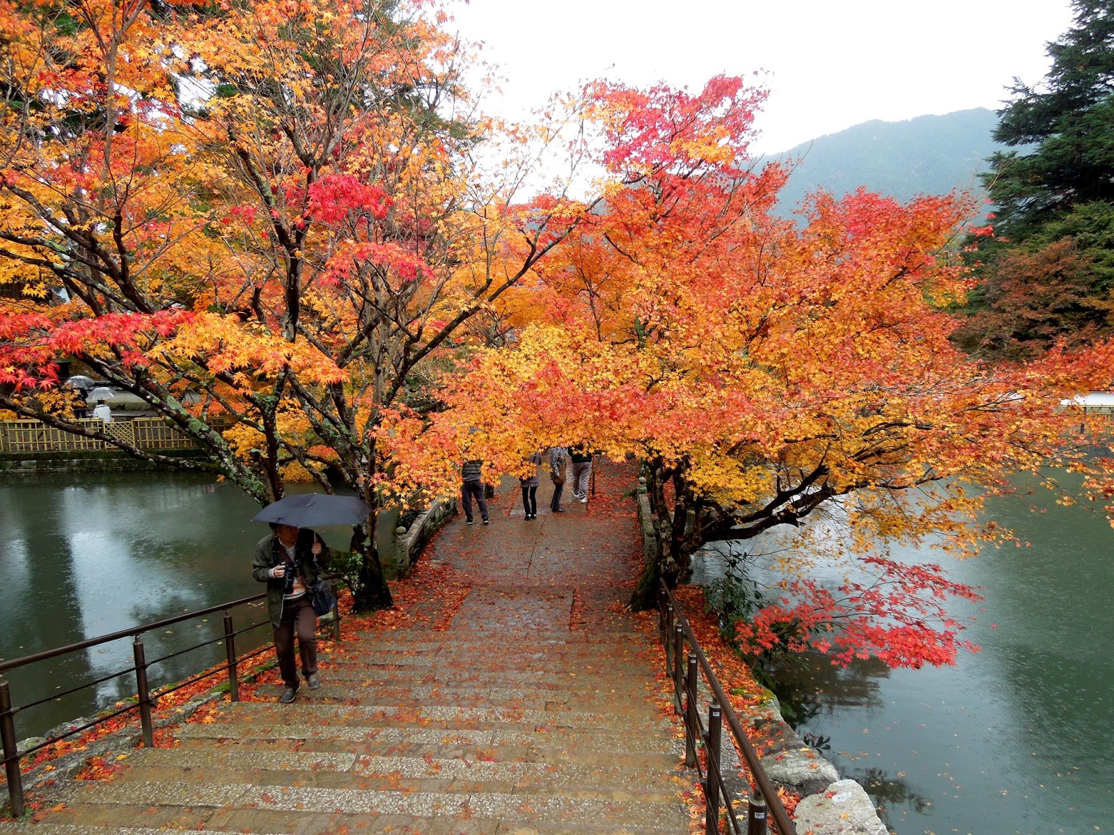 Tempat Wisata Musim Gugur Terbaik Di Jepang Chiisana Sekai