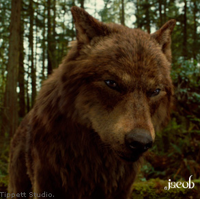 Image result for werewolf jacob