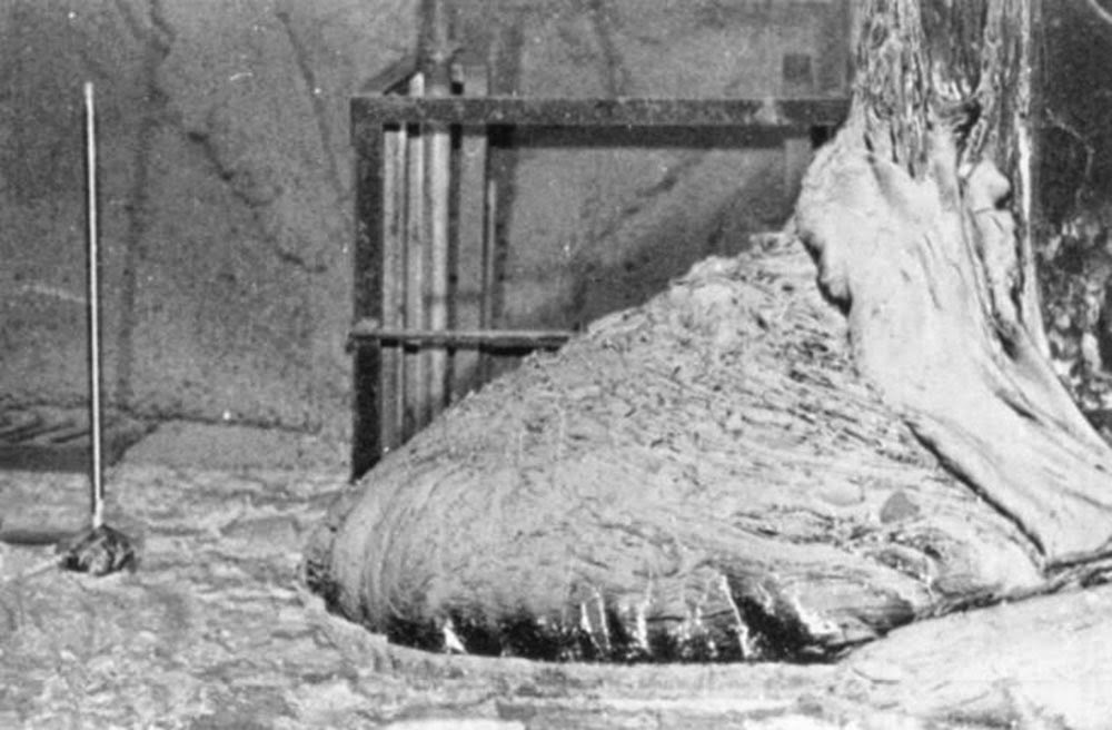 When this photo was taken, 10 years after the disaster, the Elephant’s Foot was only emitting one-tenth of the radiation it once had. Still, merely 500 seconds of exposure would prove fatal.