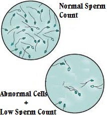 decrease dip Can sperm count tobaco