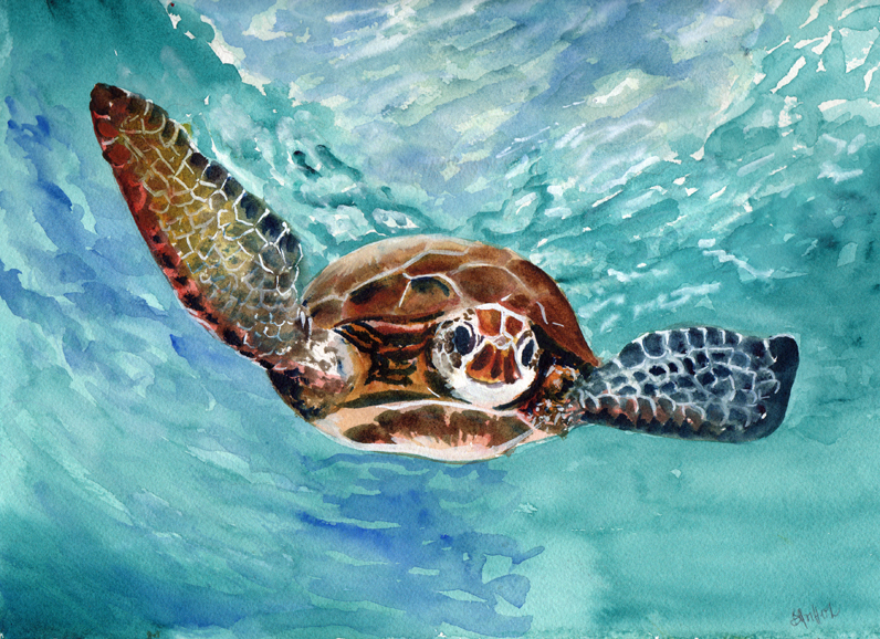 GREEN SEA TURTLE ORIGINAL WATERCOLOR PAINTING