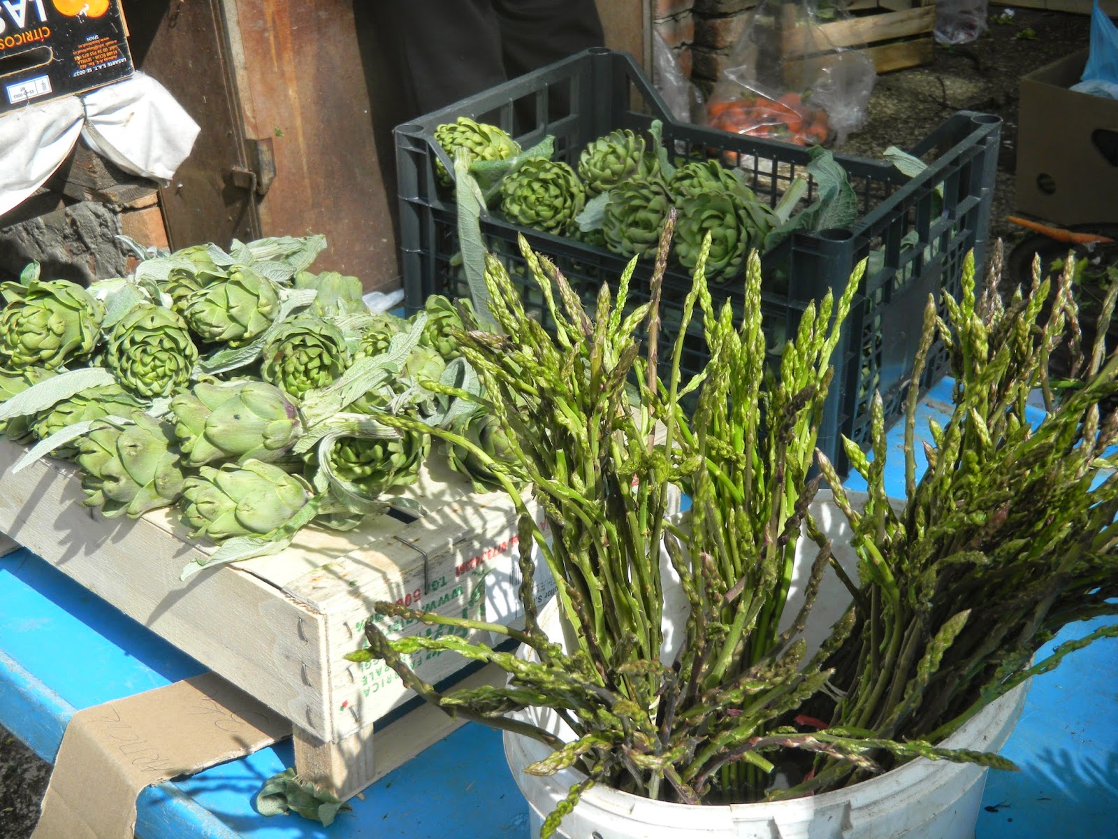Fliederbaum: Kroatien - Blumen und Wildspargel