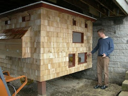 chicken coop roof siding putting windows growers