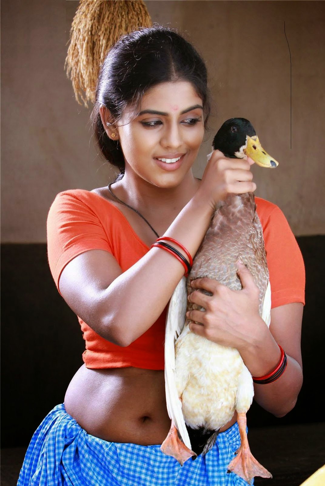 kerala actress bhavana navel kerala actress bhavana navel