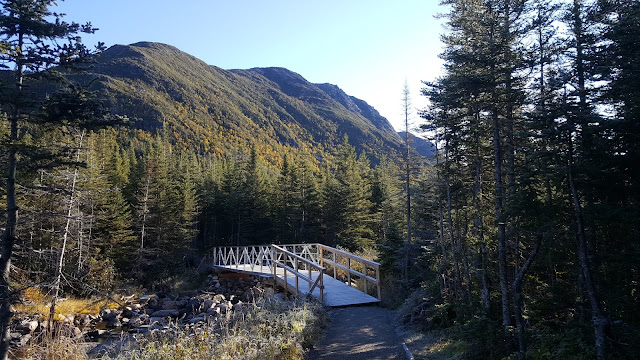 Sentier vers le Lac aux Américains