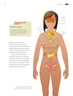 Apoyo Primaria Ciencias Naturales 5to grado Bloque I tema 3 Funcionamiento de los aparatos sexuales y el sistema glandular 