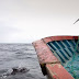 Δελφίνια δόλωμα για απειλούμενους καρχαρίες – Σοκαριστικό video με την ανελέητη σφαγή