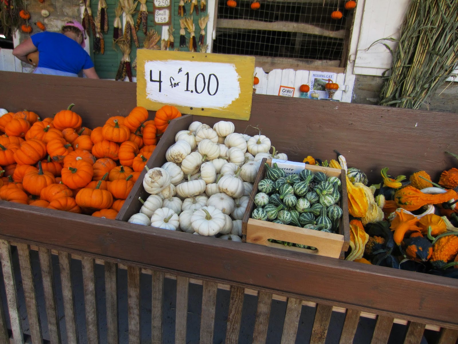 All Things Andrea Stoltzfus Gourd and Pumpkin Farm