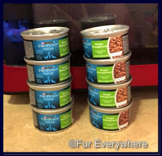 Purina Pro Plan Adult Focus Weight Management canned cat food.