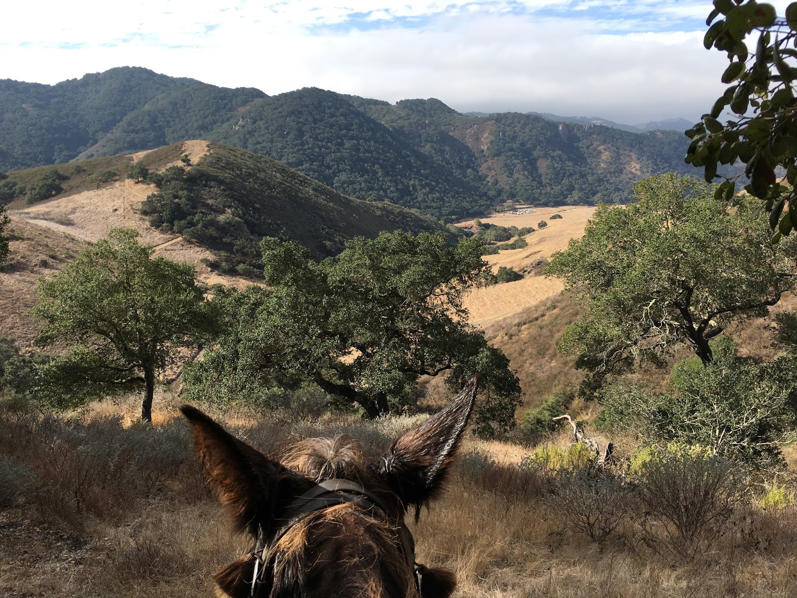 MuleTrail 2017/10/29 YellowJacket Ranch in the Huasna Valley