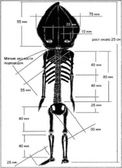 Alien tiny body mummified in russia