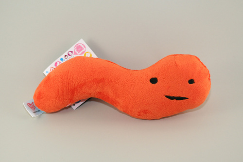 appendix stuffed animal