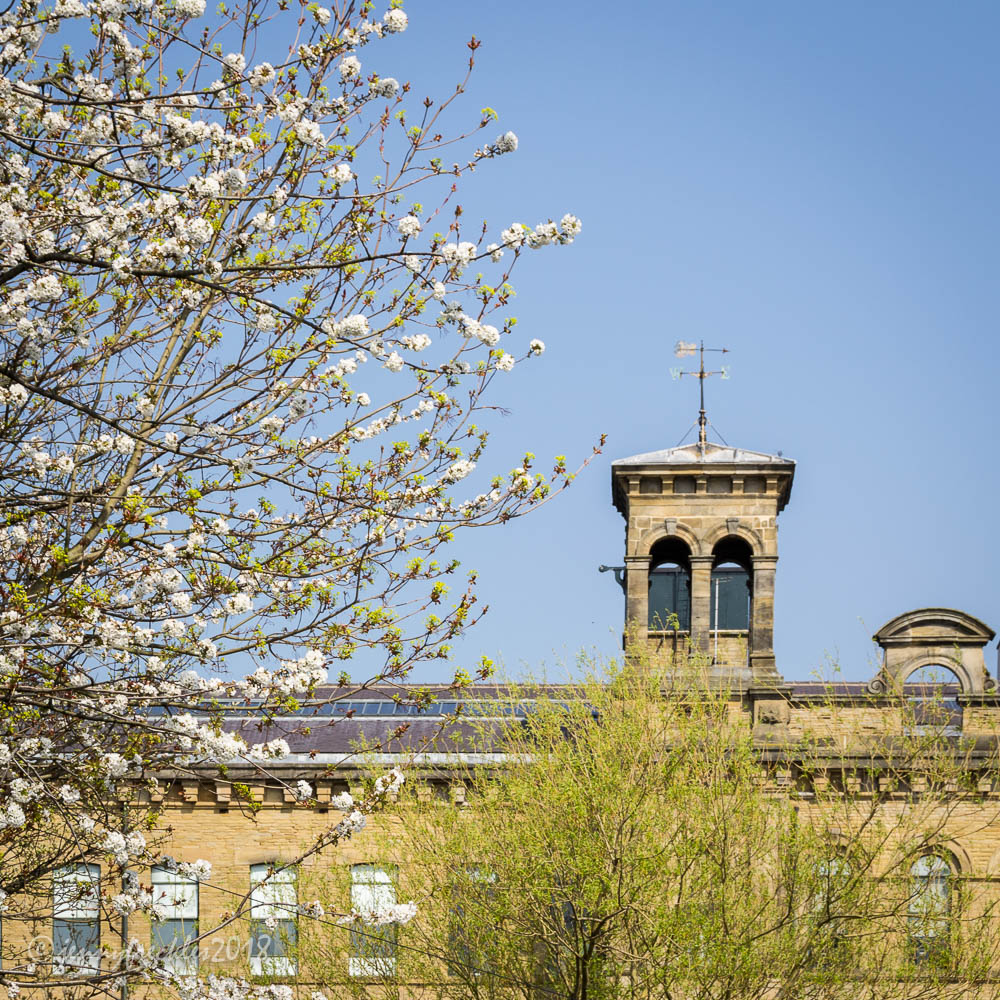 Saltaire Daily Photo Spring in Saltaire