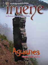 Revista IRUENE nº 4