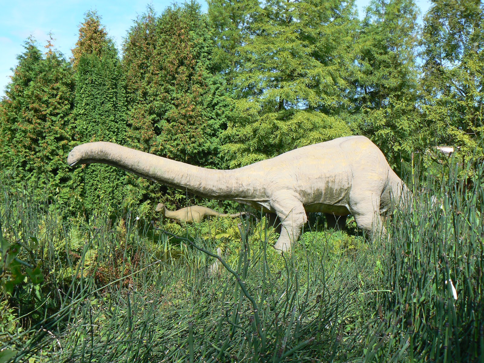 Apatosaurus Apatosaurus Wallpapers Fun Animals Wiki Videos