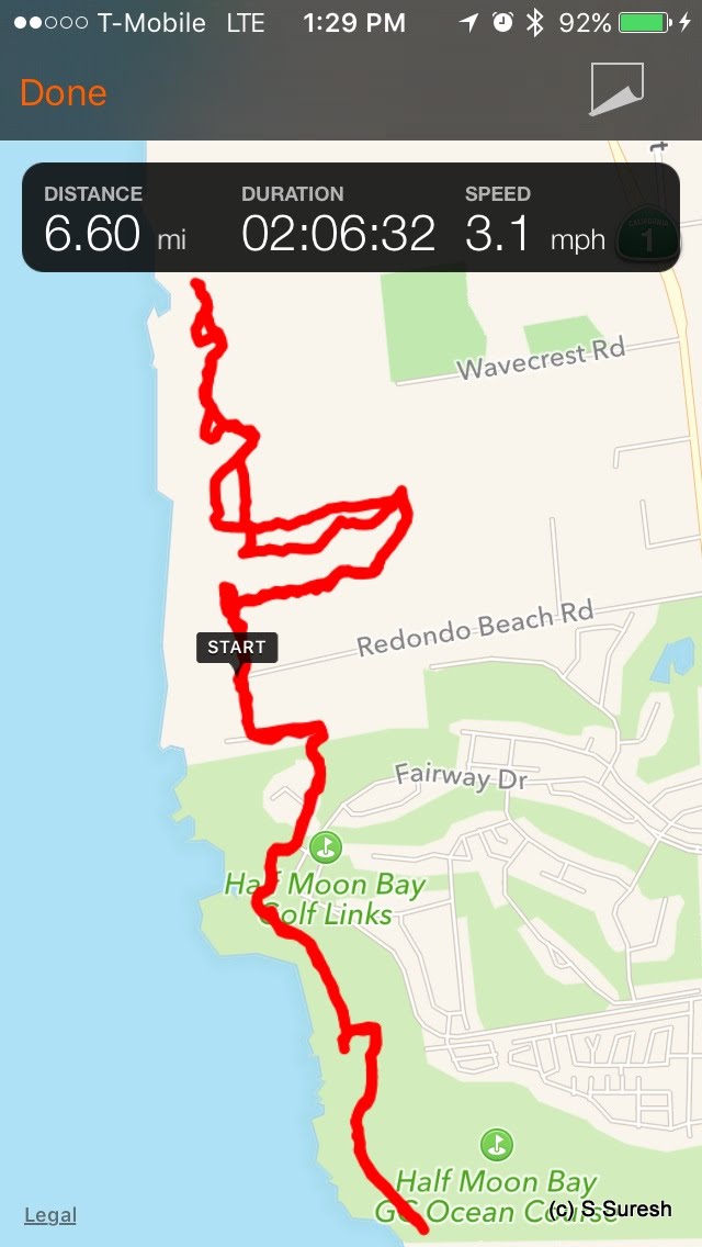 Dog Friendly Hikes Half Moon Bay Coastal Trail (Miramontes Pt