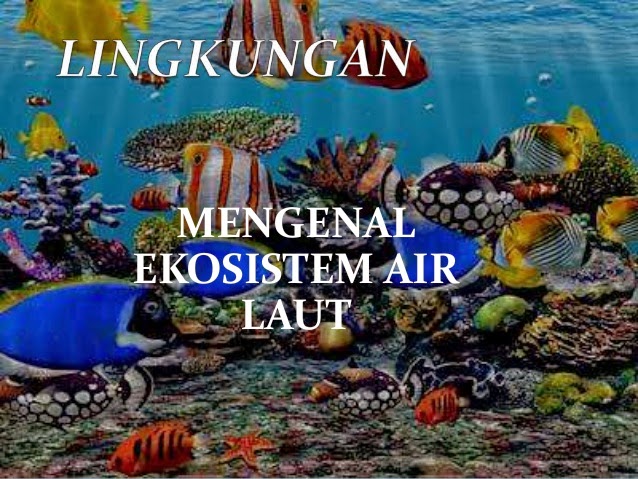 Ekosistem Air Laut - Ekosistem air