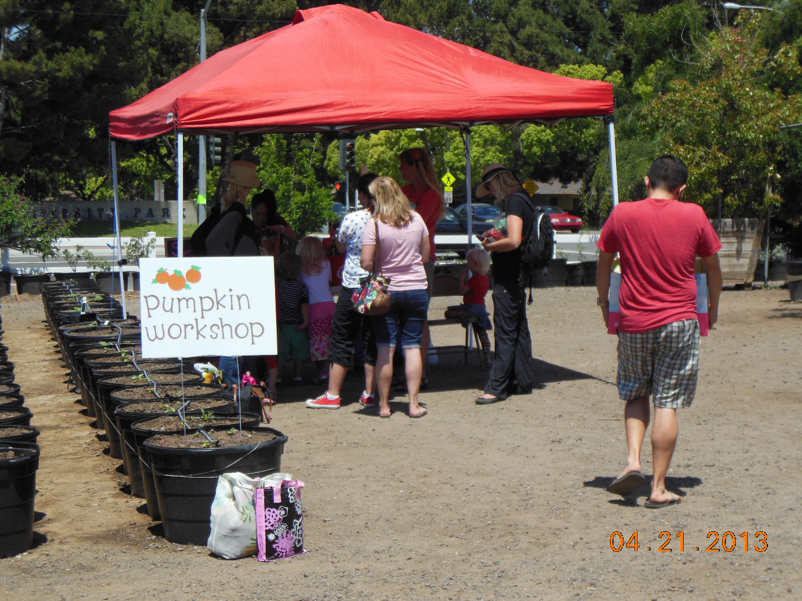 Pumpkinmania! Tanaka Farms I Season's Opener
