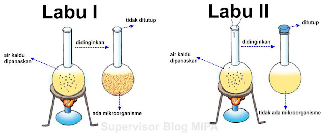 percobaan atau eksperimen teori biogenesis lazarro spallanzani